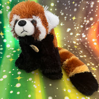 Sota, Red Panda