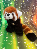 Sota, Red Panda