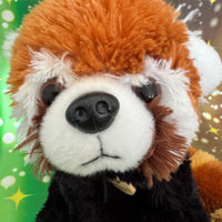 Sota, Red Panda