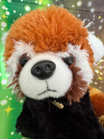 Sota, Red Panda