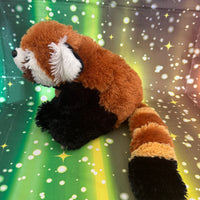 Sota, Red Panda
