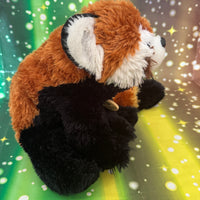 Sota, Red Panda