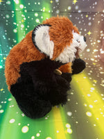 Sota, Red Panda