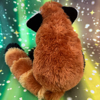 Sota, Red Panda