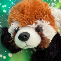Sota, Red Panda