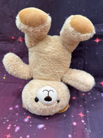 Brulee, Teddy Bear