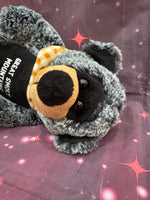 Fenn, Teddy Bear