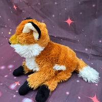 Paz, Fox
