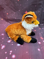 Paz, Fox
