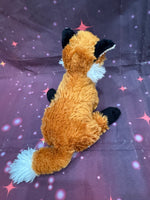 Paz, Fox