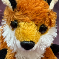 Paz, Fox