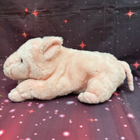 Tansi, Pig