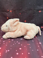 Tansi, Pig