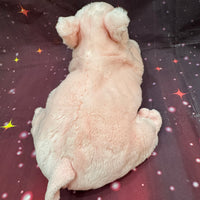 Tansi, Pig