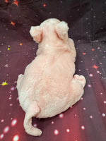Tansi, Pig