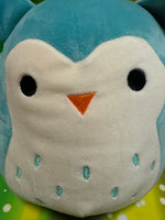 Winston, Owl Squishmallows