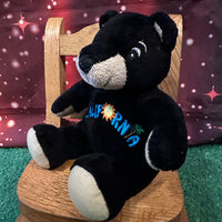 Sunny, Teddy Bear