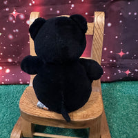 Sunny, Teddy Bear