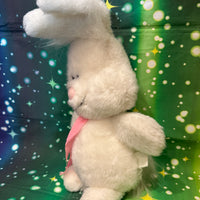 Floofie, Bunny Rabbit