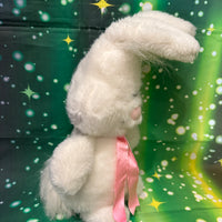 Floofie, Bunny Rabbit