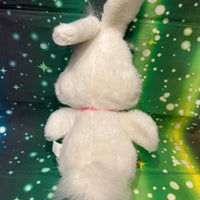 Floofie, Bunny Rabbit