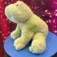 Raindell, Baby Gund Turtle
