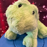 Raindell, Baby Gund Turtle
