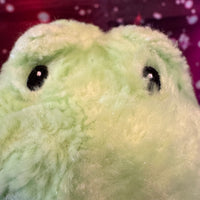 Raindell, Baby Gund Turtle