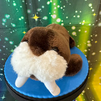 Snorbert, Walrus