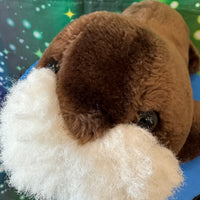 Snorbert, Walrus