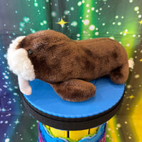 Snorbert, Walrus