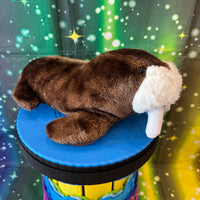 Snorbert, Walrus