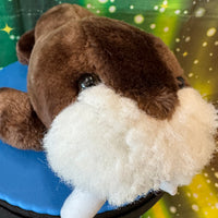 Snorbert, Walrus